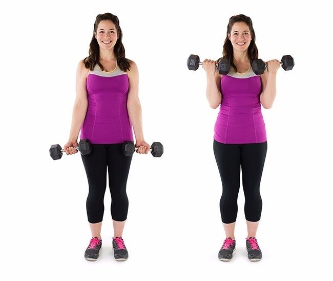  [운동일지] 불광 에이블짐 개인PT - 12월 무료PT 20분(팔운동, BICEPS CURL, TRICEPS EXTENSION)
