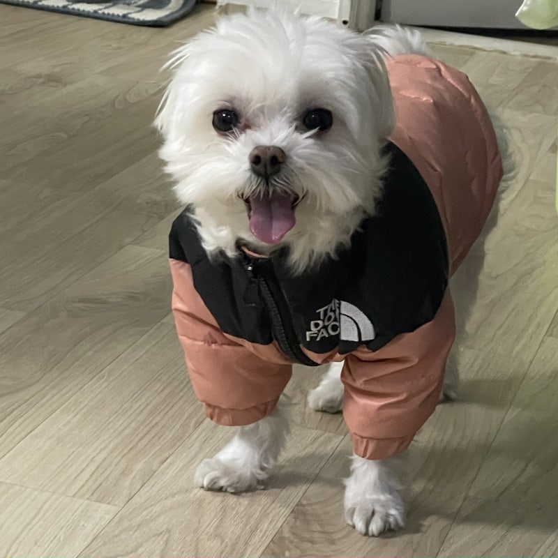 댕댕씨 더도그페이스 강아지 패딩 리뷰