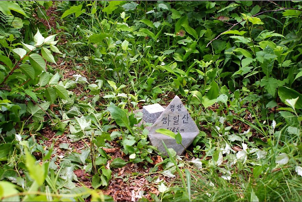 하일산 사진 3