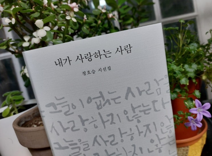 <시> 희망은 아름답다 첫 눈 정호승시 <시> 희망은 아름답다 첫 눈 정호승시