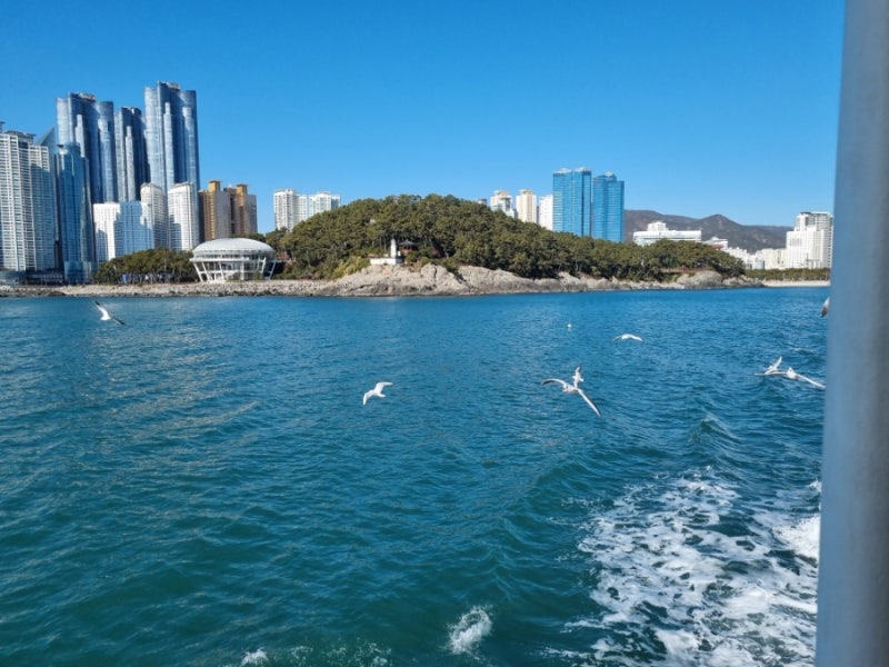 부산 관광코스 추천 [해운대 관광 유람선] 부산 데이트코스! 갈매기 밥주기도 가능해요