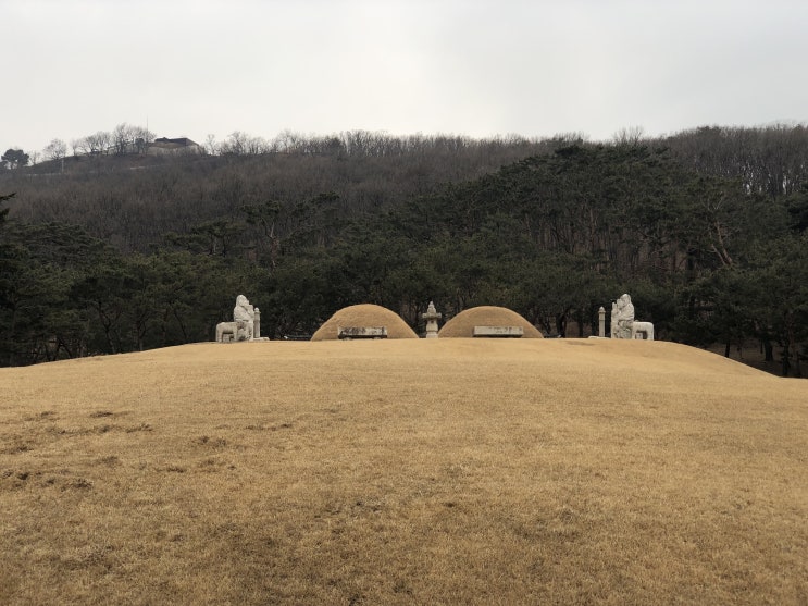 조선왕릉 김포장릉 방문기(유네스코세계문화유산)