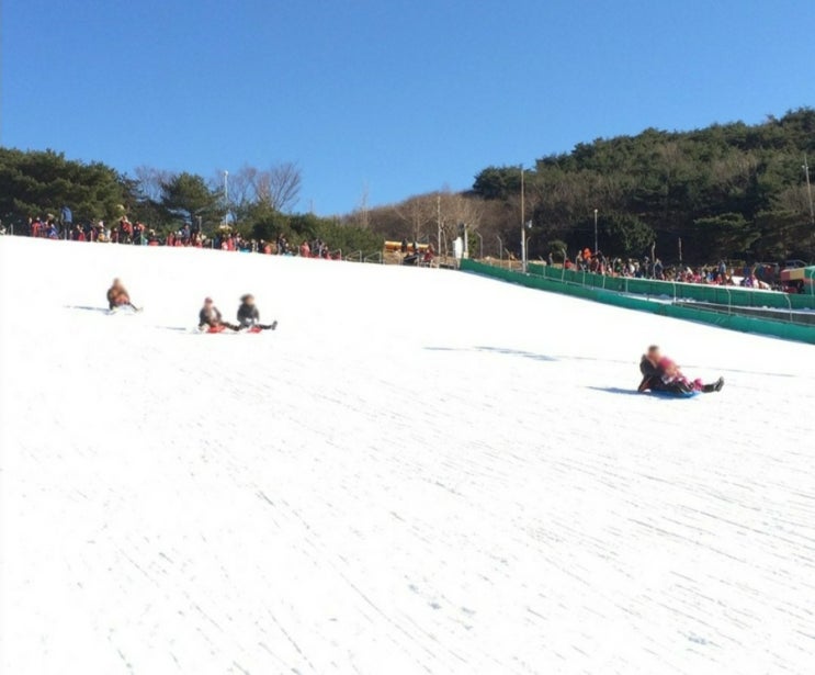  경남 눈썰매장 4곳 김해 울산 거창 양산 부산근교