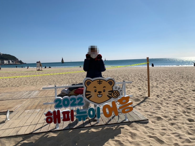 부산 해운대 빛축제/ 2022 해피뉴이어흥 우리 어린이와 해운대 바다보러 갔었는데 구남로는 거북이 포토존 조형물로 가득 (+오늘은 넘 춥네요. 여행오실분들은.. 따듯하게!) 부산 해운대 빛축제/ 2022 해피뉴이어흥 우리 어린이와 해운대 바다보러 갔었는데 구남로는 거북이 포토존 조형물로 가득 (+오늘은 넘 춥네요. 여행오실분들은.. 따듯하게!)
