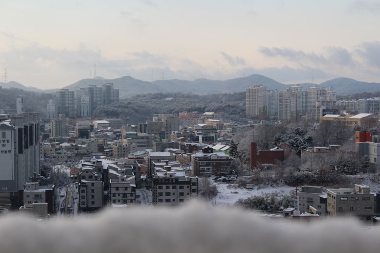  연말에 눈 풍년~