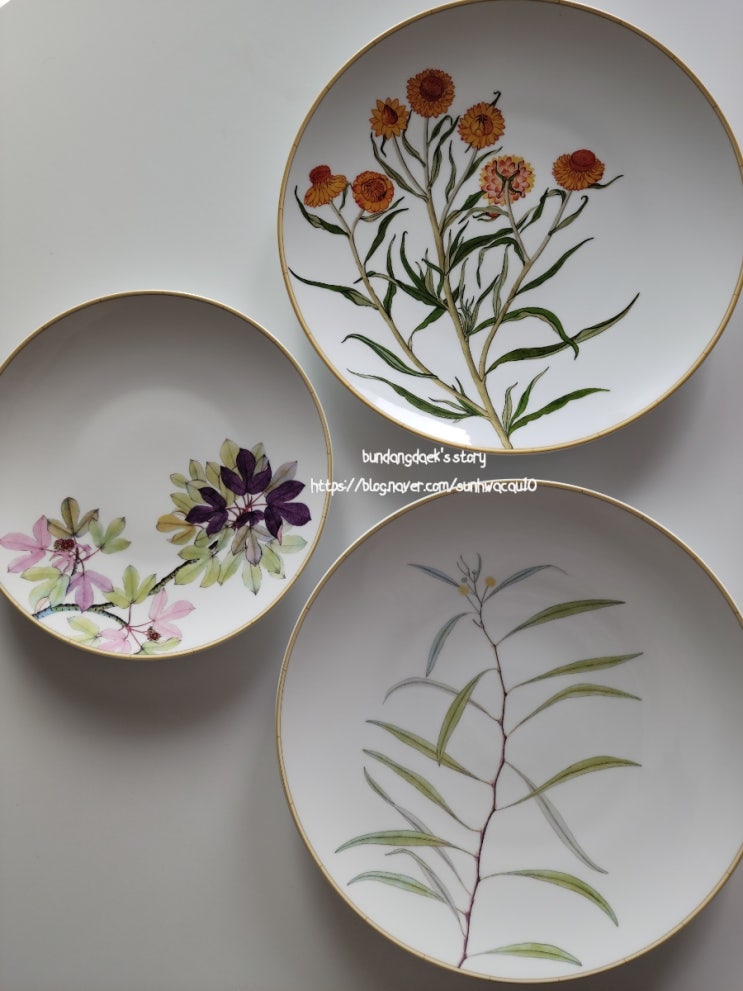  베르나르도(BERNARDAUD) 접시 | 자댕 인디언(JARDIN INDIAN) 플레이트 / 단델리온(DANDELION)