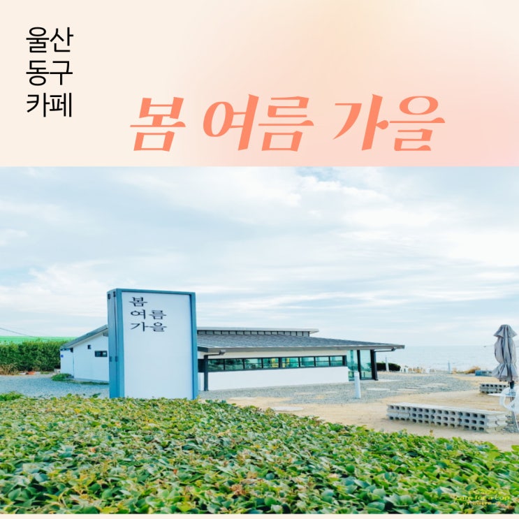 울산동구카페 봄여름가을 , 슬도의 제주도 감성카페