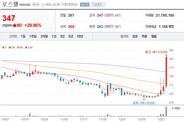  12월 30일 상한가 로스웰 분석해서 알아보기 어떤회사 일까??