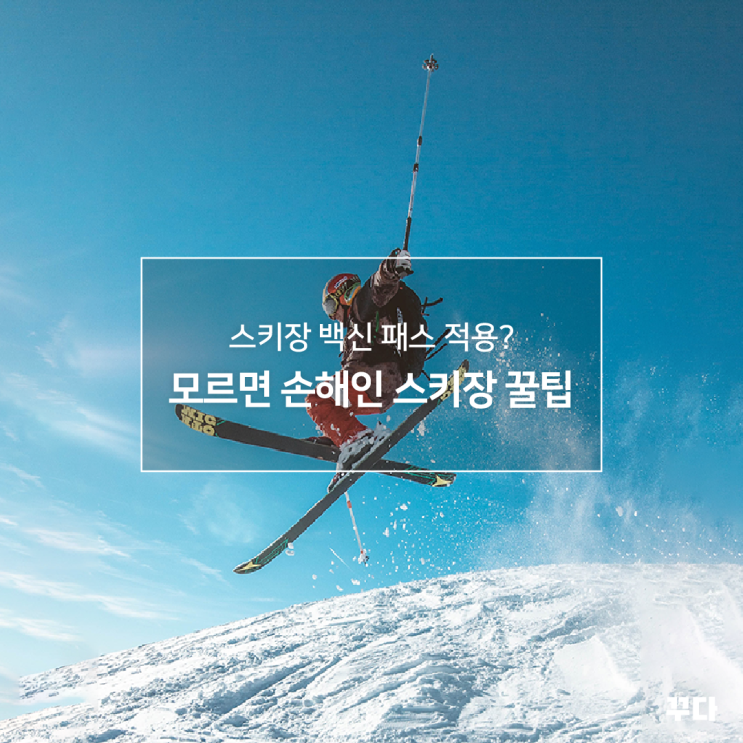  모르면 손해 보는 스키장 꿀팁! 스키장 백신 패스? 스키장비 렌탈