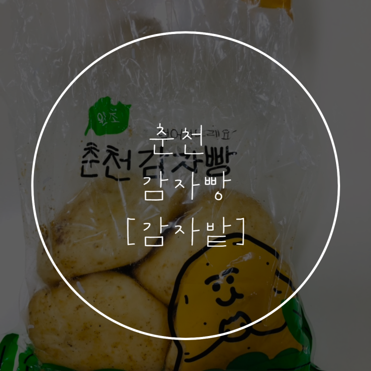  춘천 [감자밭] 감자빵 맛집