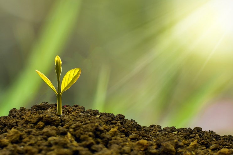 투자의향기 2021년 ETF 투자 정리 투자의향기 2021년 ETF 투자 정리