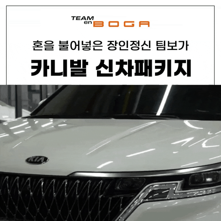  실속있는 카니발 신차패키지 필요한것만!