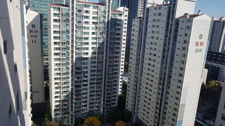  좋은 아파트, 살고싶은 아파트 고르는 법