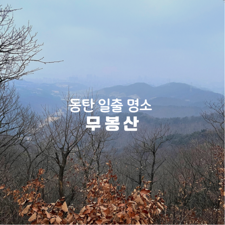  화성 동탄 일출 보기 좋은 곳 추천 하면 이곳 해돋이 맛집 무봉산 살짝 실망했지만 후회없는 후기