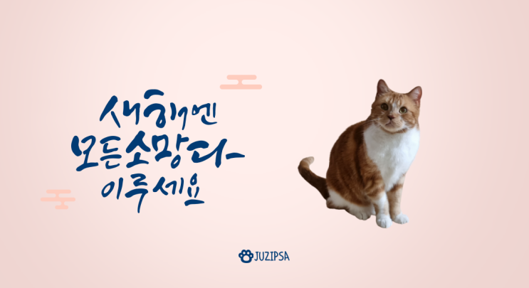  2022년 01월 고양이 달력과 심플한 컴퓨터 바탕화면 만들었어요