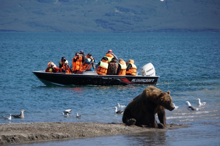 러시아 캄차카 여행 : 쿠릴호수에서 불곰을 보다.