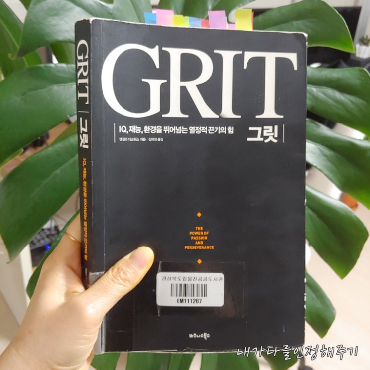 GRIT 그릿 IQ 재능 환경을 뛰어넘는 열정적 끈기의 힘