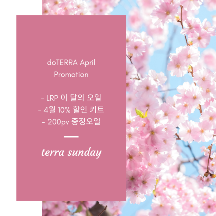  남양주) 도테라오일 4월 프로모션 안내_추천인 번호 11657230
