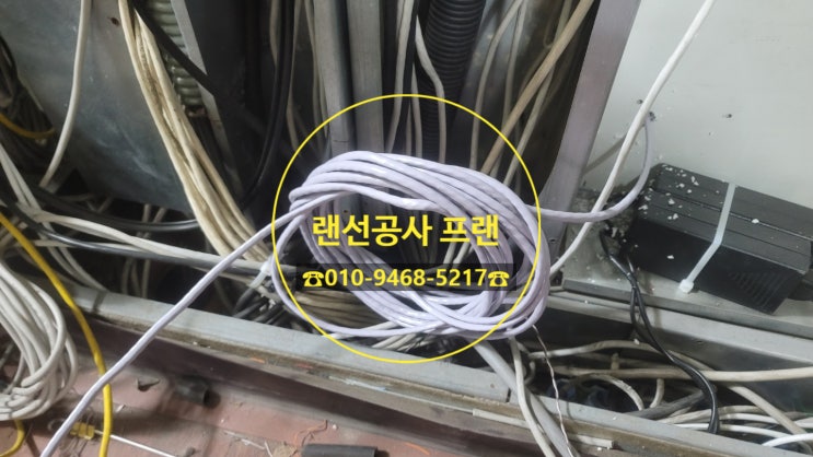  공장 랜선공사 지금당장 할 수 있는 업체 없을까?