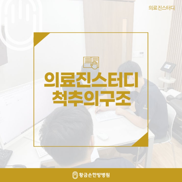  척추 구조와 형태, 의료진스터디
