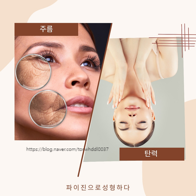 주름, 탄력 개선은 파이진글로벌 뉴파이진 셀퓰러