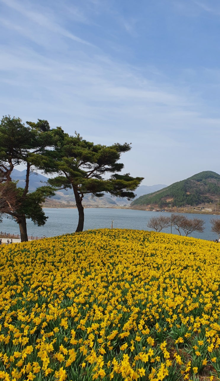  [국내맥주]구례 산수유 맥주 5.3도-지역 특산물 수제맥주