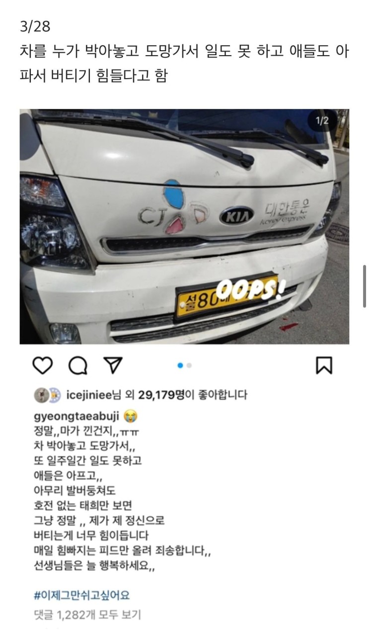 CJ 택배견 경태 태희 주인 후원금 횡령 의혹 인스타 계정 삭제