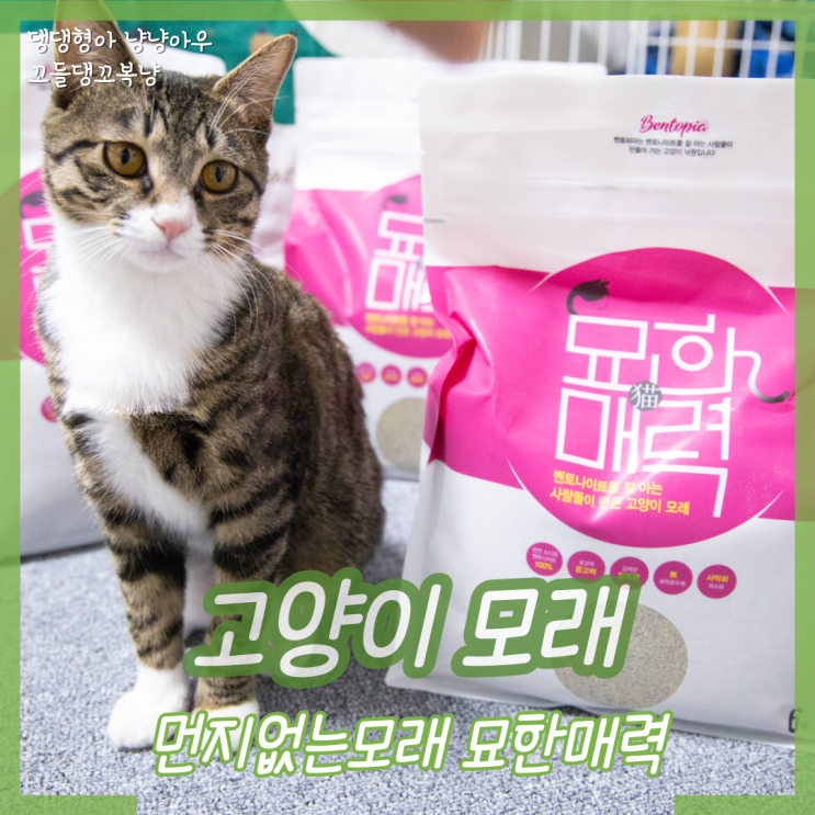  먼지없는 고양이모래 천연 벤토나이트 묘한매력은 어떤가요?