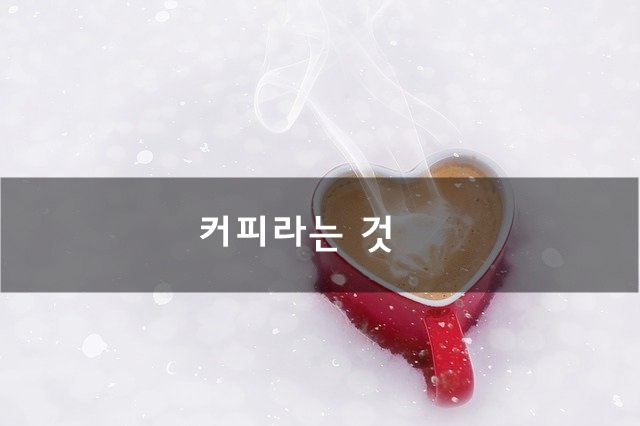  커피라는 것