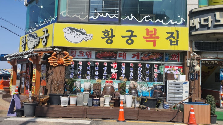  오이도 맛집 황궁 복집 복지리탕 잘하는 집