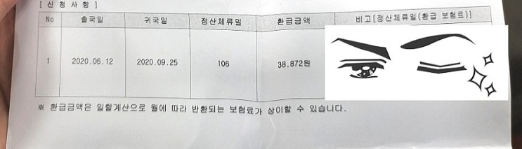 해외장기체류  실손의료보험료 환급 신청 후기 (feat.출입국증명서)