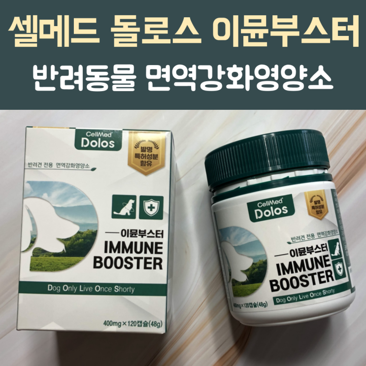  반려견&반려묘 면역건강을 위한 영양제 '셀메드 돌로스 이뮨부스터'