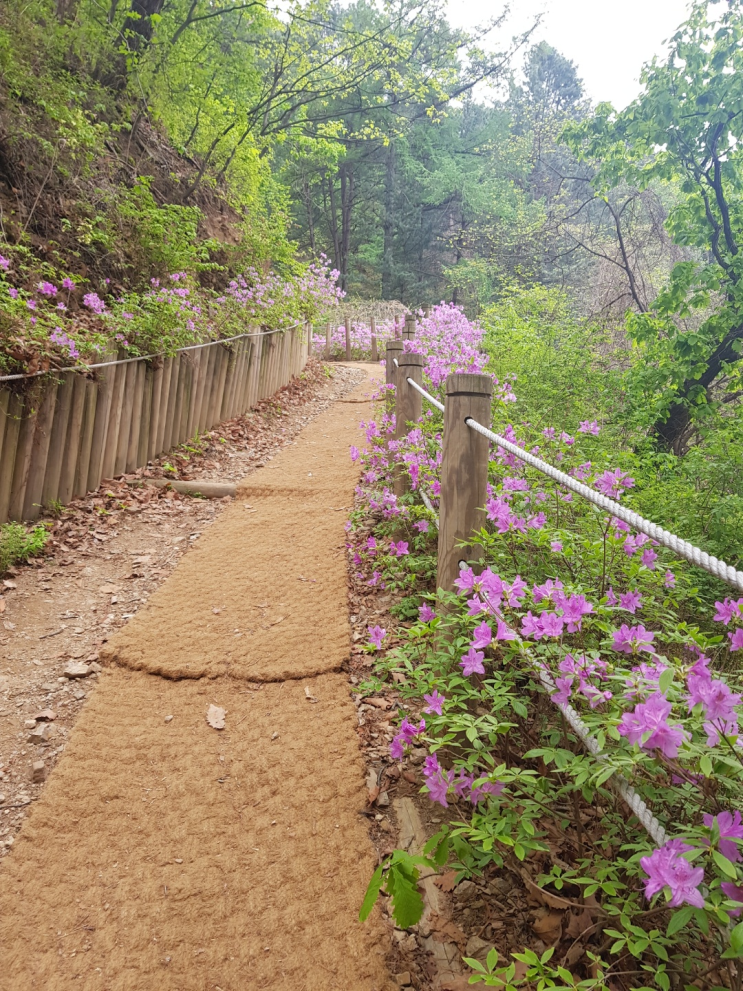  춘천 문배마을 (사계절)