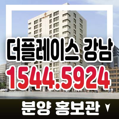 더플레이스 강남 역삼동 투룸 하이엔드 오피스텔 분양가 및 홍보관 강남구 업무중심지 현장방문