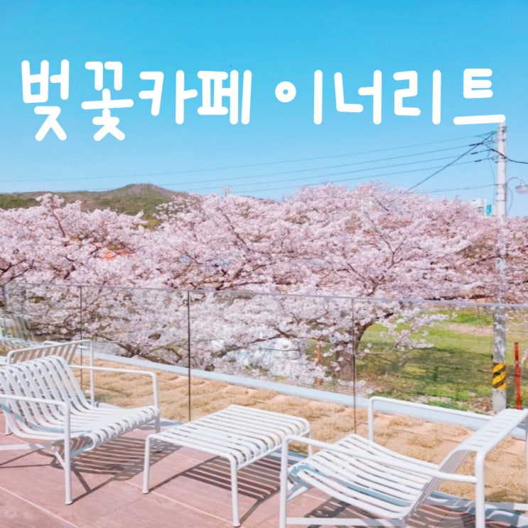  벚꽃 보고 울산 카페 언양 이너리트에서 커피 한잔할까요?