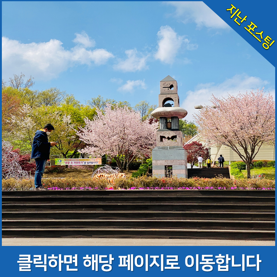 가마치통닭 영동점 사진 6