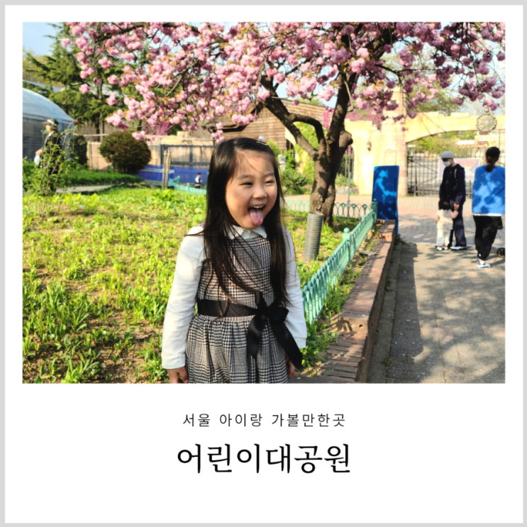 어린이대공원 벚꽃 놀이와 동물원 관람 가족 나들이 하기좋은곳(입장료 무료, 주차 팁) 어린이대공원 벚꽃 놀이와 동물원 관람 가족 나들이 하기좋은곳(입장료 무료, 주차 팁)
