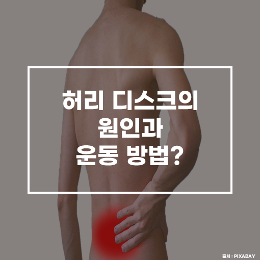  허리디스크의 원인과 운동 방법? [안양재활PT/범계재활PT/인덕원재활PT/안양허리운동/범계허리운동/인덕원허리운동]
