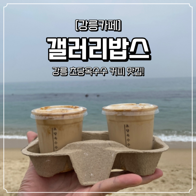  강릉 카페 초당옥수수 갤러리밥스