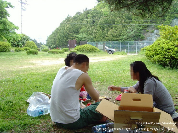  거제 학동몽돌해변 - 빨간 동백꽃, 하얀 동백꽃, 분홍 동백꽃, 아비 철새 도래지