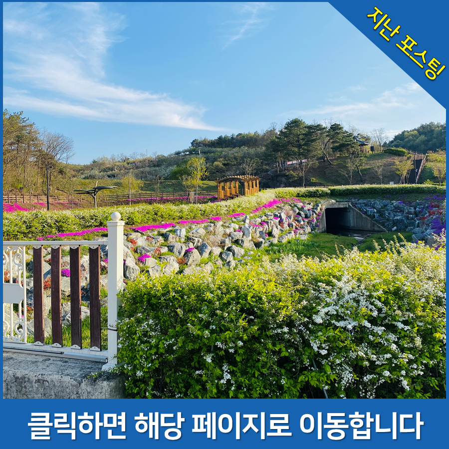 가마치통닭 영동점 사진 5