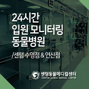  강아지 고양이 24시간 입원 모니터링 동물병원 부산 센텀동물메디컬센터 (수영점 &연산점)