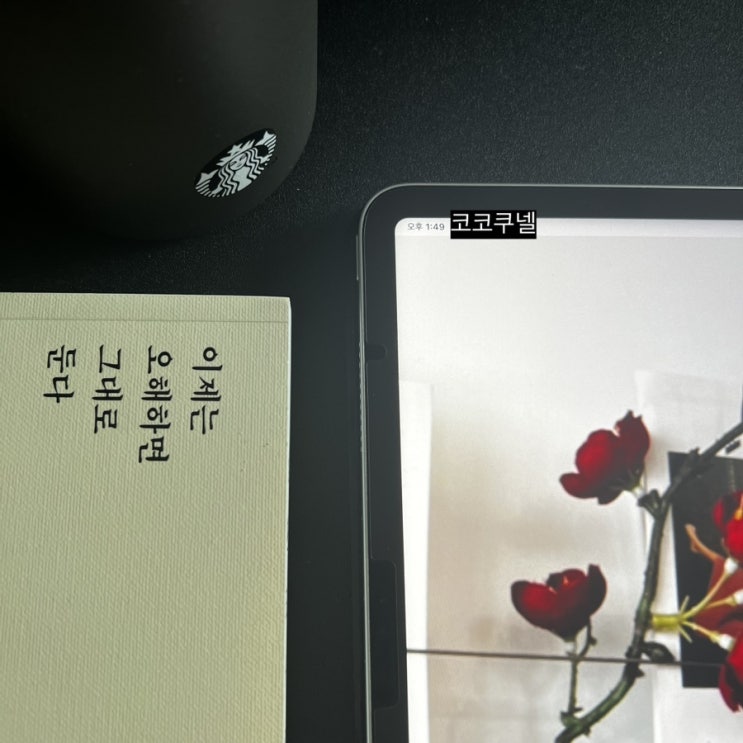  끄적끄적 @ 코코의 마음