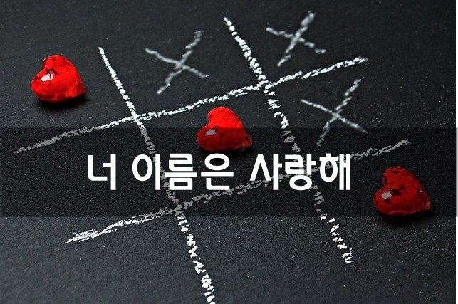  너 이름은 사랑해