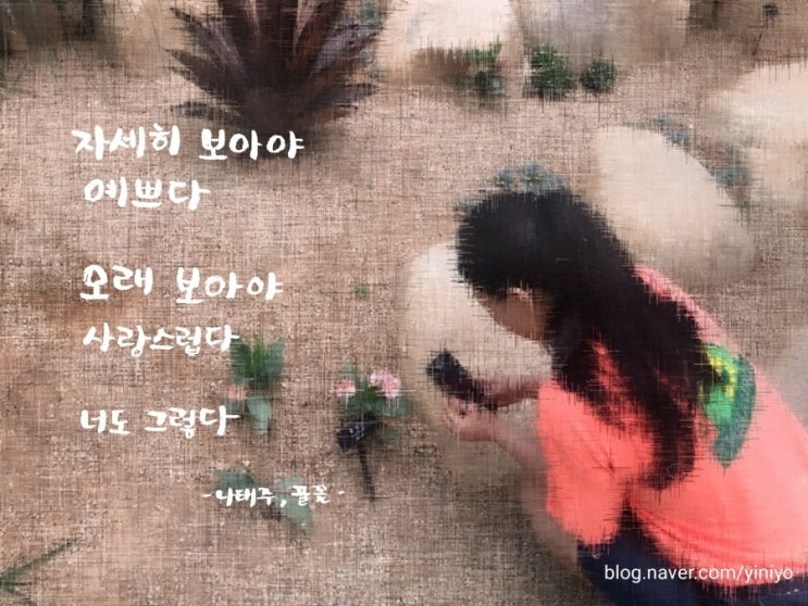  서평. 좋다고 하니까 나도 좋다, 나태주