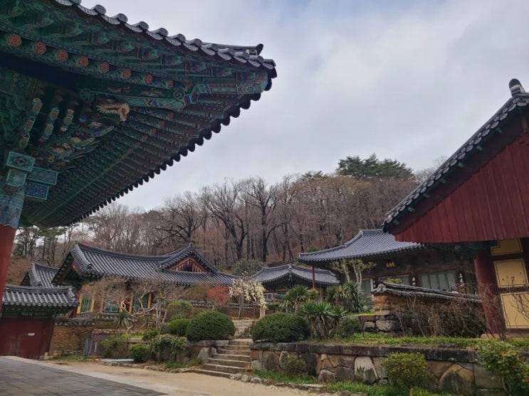 [전남-순천] 계곡과 조화를 이루는 삼보사찰 - 송광사(3월 초 방문)