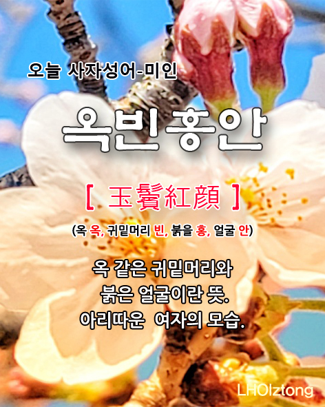  [821] 오늘 사자성어 옥빈홍안(玉鬢紅顔)의 뜻은?