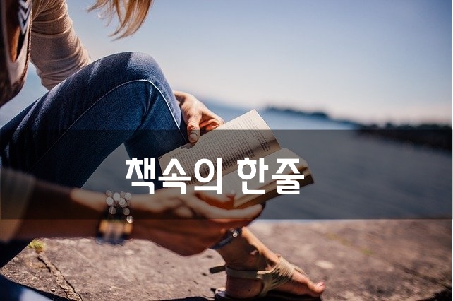  책속의 한줄