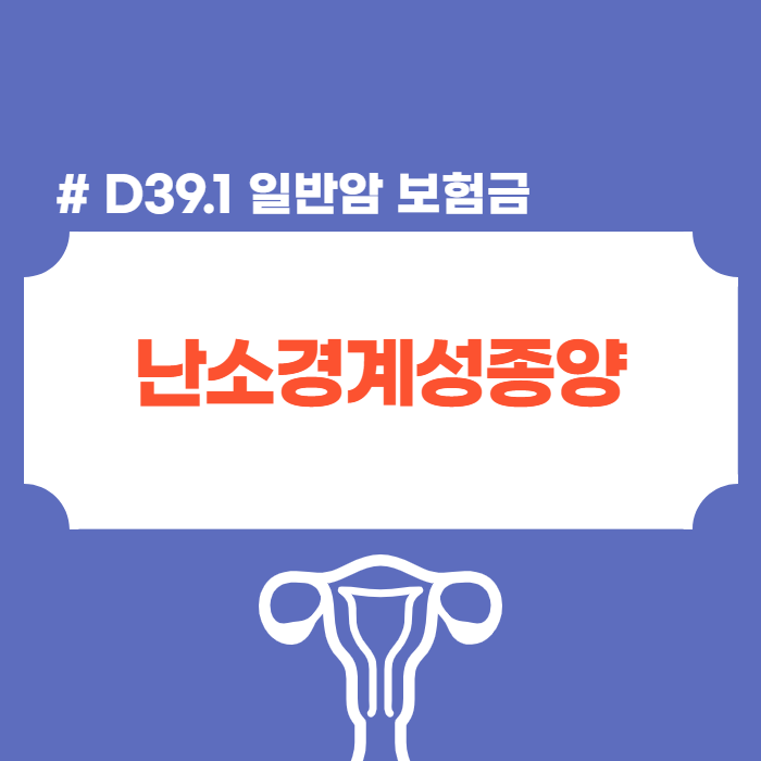난소경계성종양 borderline tumor 일반암 입니다. 질병코드 D39.1