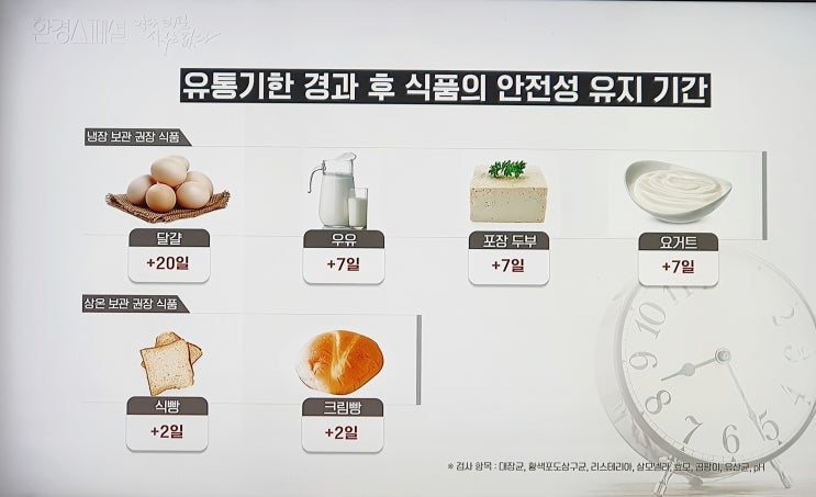  유통기한 지나도 먹을 수 있어요! 유통기한 소비기한 그리고 음식물쓰레기 이야기(먹다 버릴 지구는 없다 다큐)